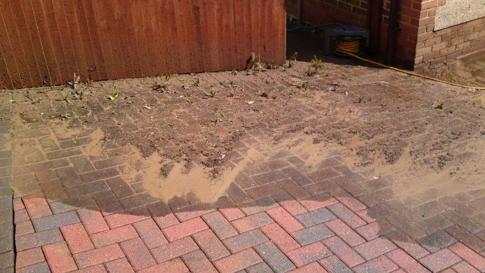 MossOff - Surface cleaning