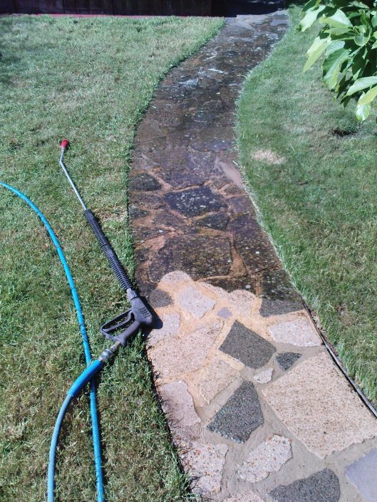 MossOff - Surface cleaning
