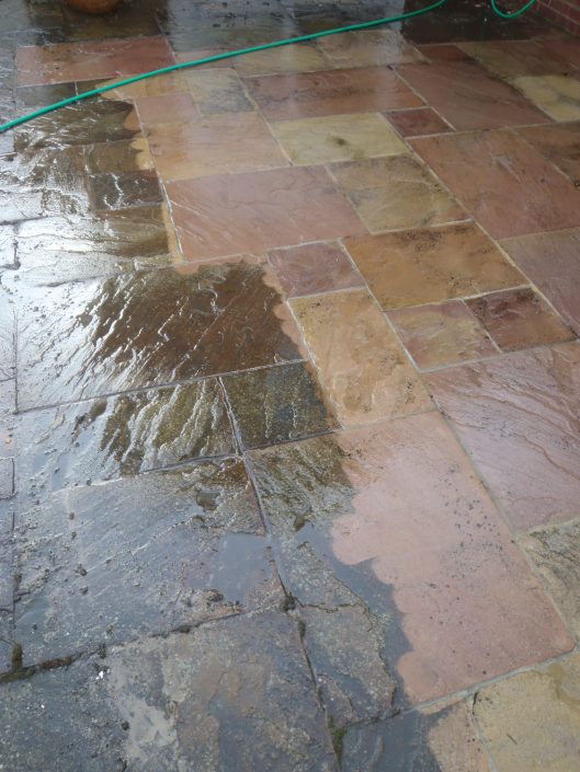 MossOff - Surface cleaning